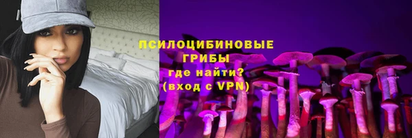 PSILOCYBIN Щёлково