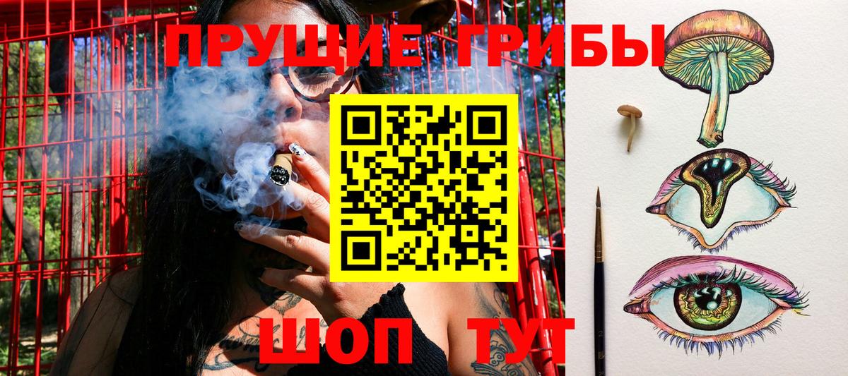 Галлюциногенные грибы Magic Shrooms Лесосибирск