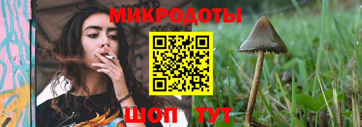 Галлюциногенные грибы GOLDEN TEACHER  Вход с VPN  Лесосибирск 