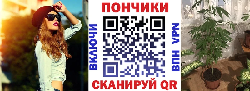 мега ССЫЛКА продажа наркотиков Лесосибирск это какой сайт Каннабис тримм